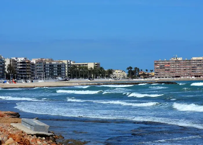 Viñas Torrevieja