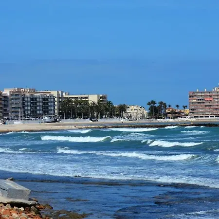 Viñas Torrevieja