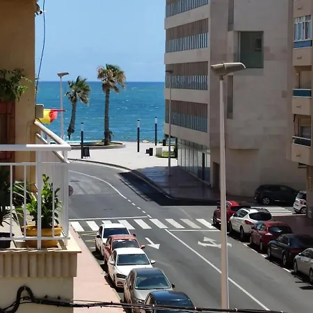 Viñas * Torrevieja